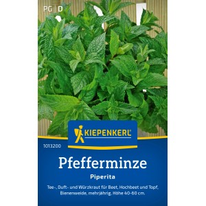 Kiepenkerl Pfefferminze Piperita, mehrjährige Kräutersamen für Tee und Garten.