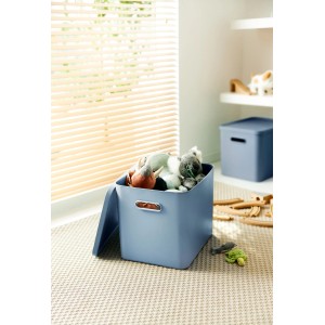 Rotho Multibox Albula für C4 Horizontblau 27 l