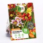 Farbenfrohe Harlekinblume Tricolor-Mischung (Sparaxis) von GROW by OBI, Höhe 25cm.