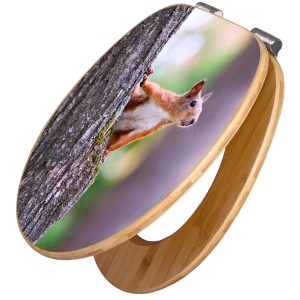 Banjado WC-Sitz aus Bambus mit Eichhörnchen-Motiv und Absenkautomatik.