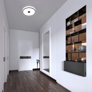Moderne LED-Deckenleuchte Block von Briloner mit schwarzen Ringen, neutralweißes Licht, Durchmesser 38 cm.