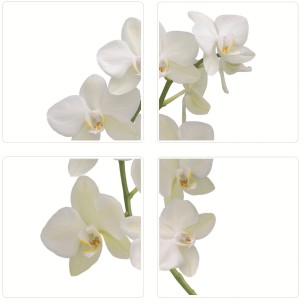 Fliesensticker Orchidee, 4er Set, selbstklebend und wiederverwendbar für Wanddekoration.