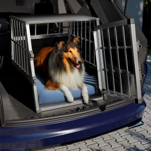 Juskys Alu Hundetransportbox L im Kofferraum mit Collie Hund.