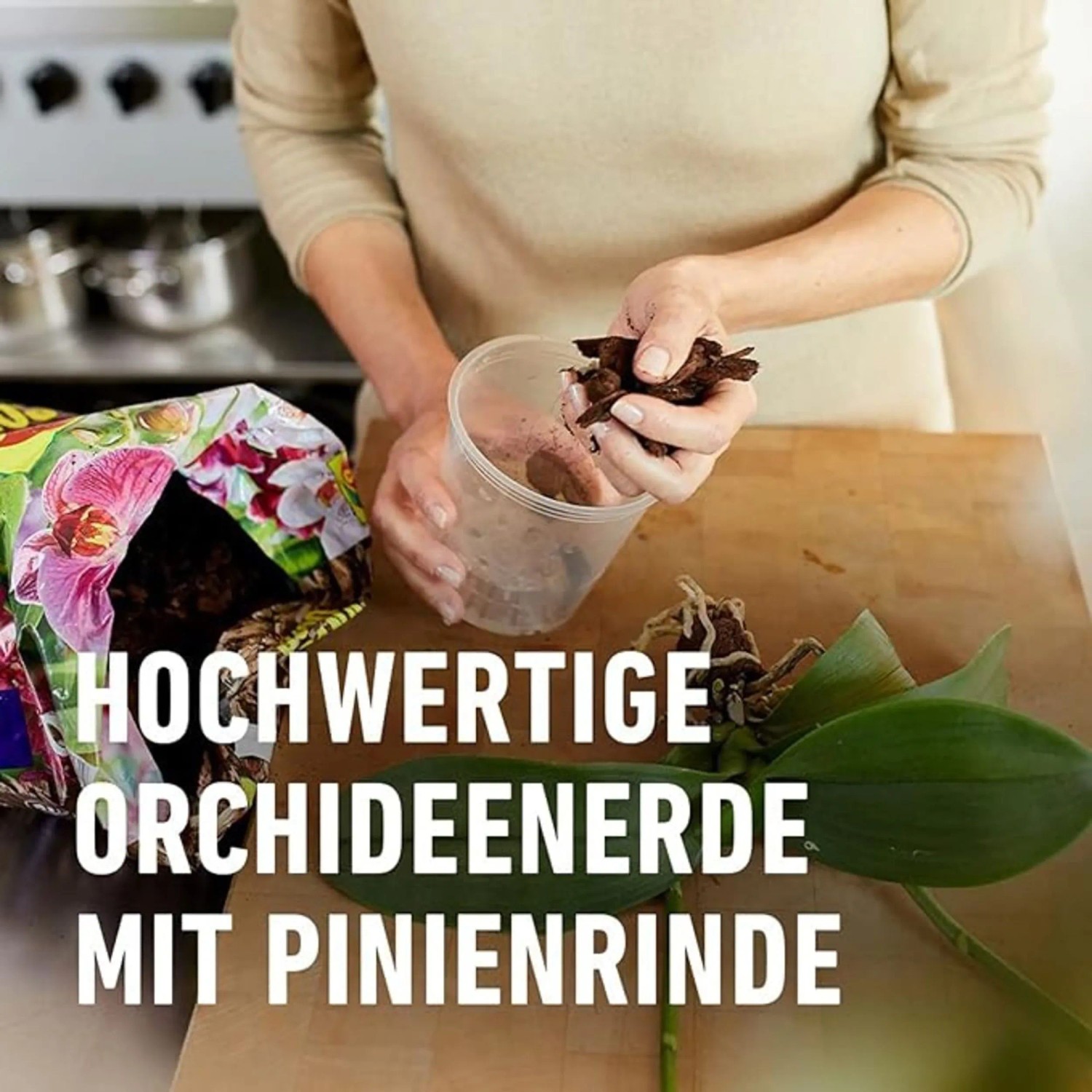 orchidee knstlich wei Knstliche Orchidee - Han