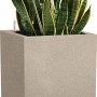 Lechuza Canto Stone Pflanzsäule, 40 cm, sandbeige, mit Grünpflanze. Ideal für Innen- und Außenbereich.