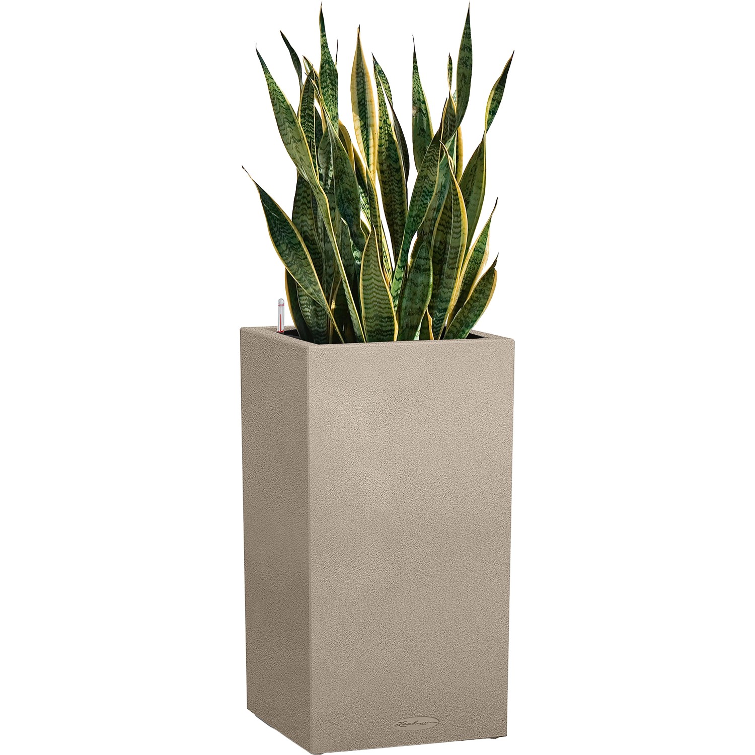 Lechuza Canto Stone Pflanzsäule, 40 cm, sandbeige, mit Grünpflanze. Ideal für Innen- und Außenbereich.