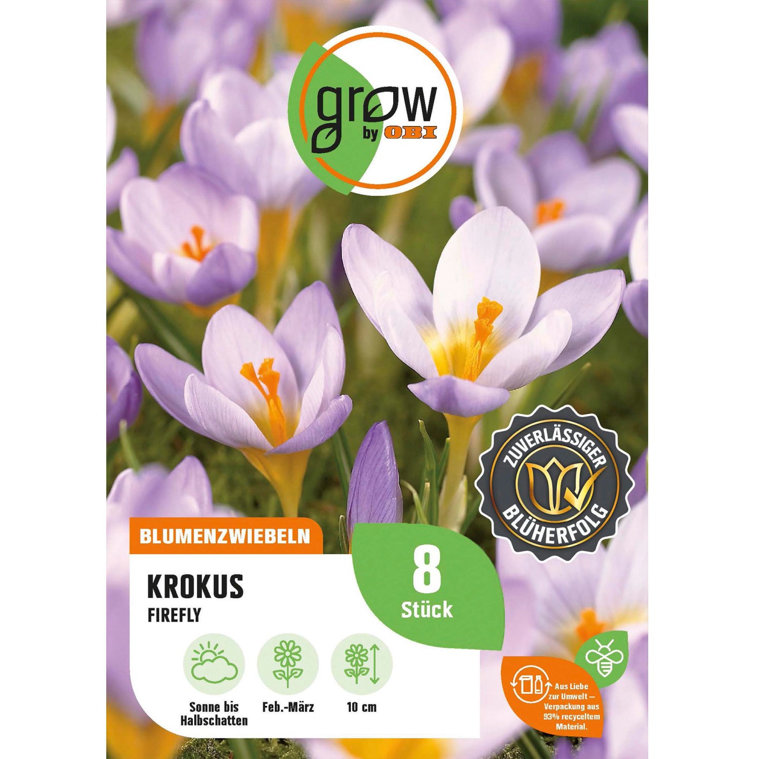 GROW by OBI Krokus Firefly Blau-Rosa 8 Stück Crocus sieberi Firefly günstig online kaufen