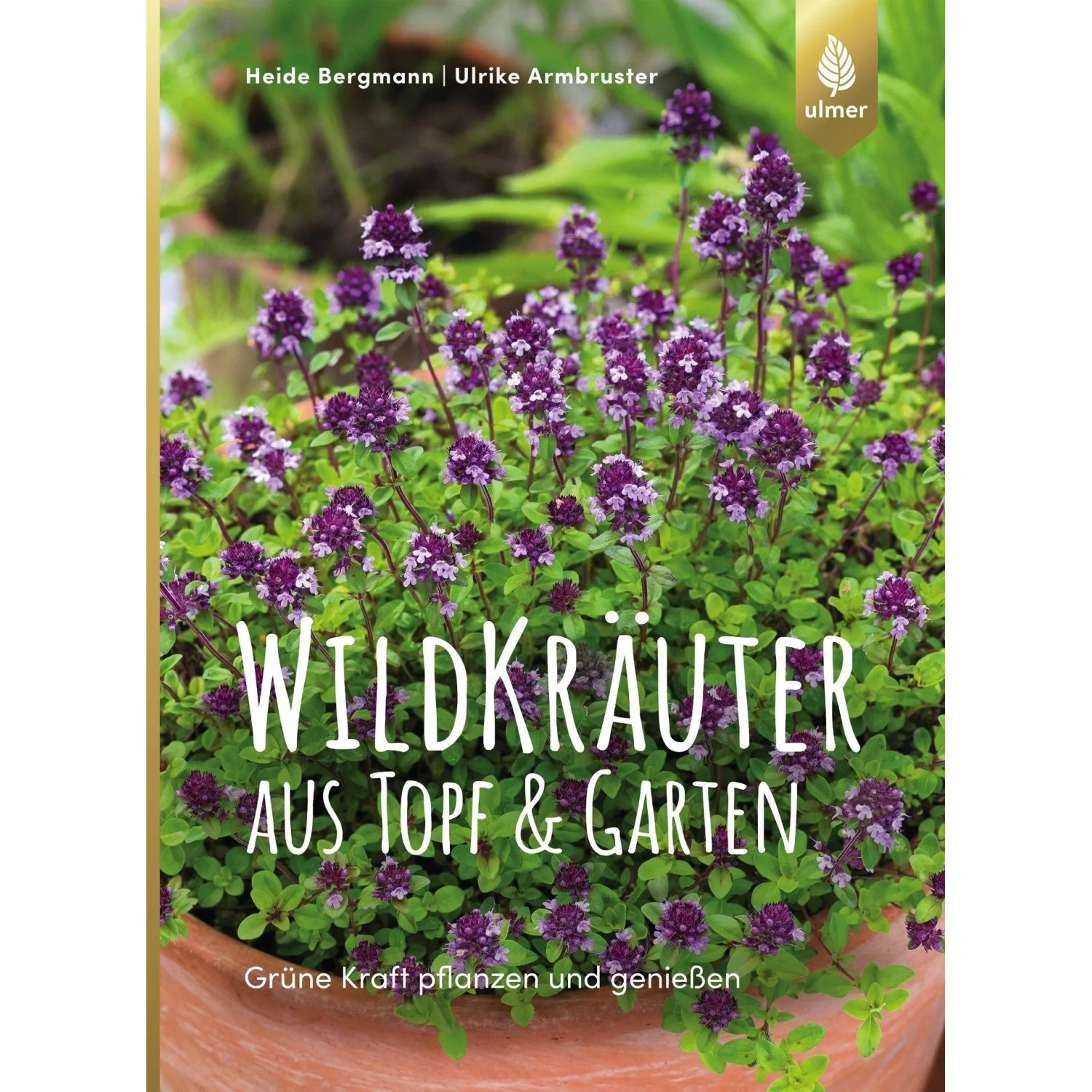 Wildkräuter aus Topf und Garten günstig online kaufen