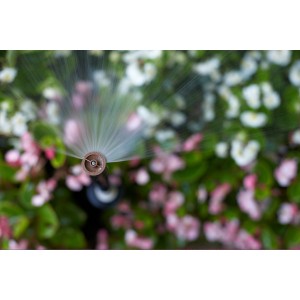 Rain Bird Versenksprüher bewässert Blumenbeet. Regner mit feinem Sprühnebel für Gartenbewässerung.
