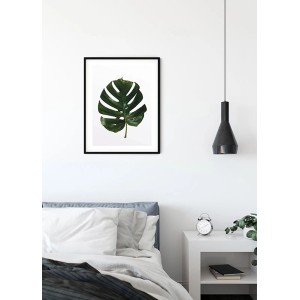 Wandbild: Monstera Blatt im schwarzen Rahmen, Format 40x50 cm. Dekorative Zimmerpflanze.