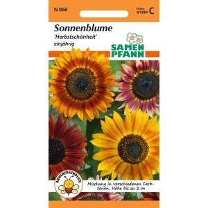 SAMEN PFANN Sonnenblume Herbstschönheit