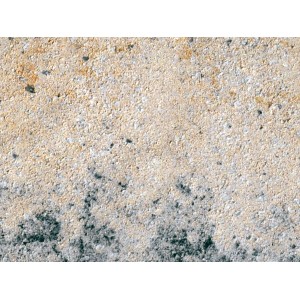 Diephaus Drainpflaster Muschelkalk, 21x14x8 cm. Pflasterstein mit Pearl-Effekt und glatter Oberfläche.