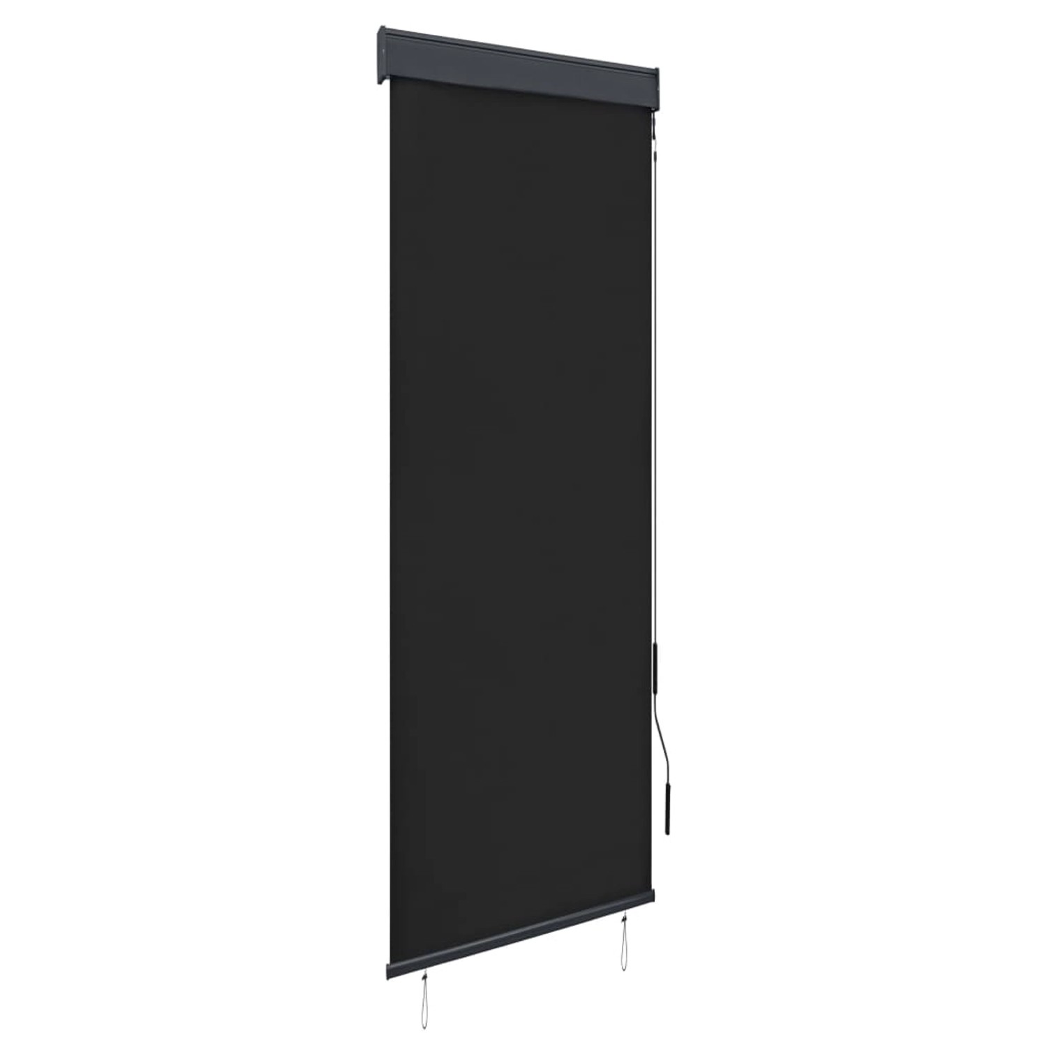 vidaXL Außenrollo 60 x 250 cm Anthrazit günstig online kaufen