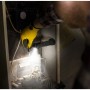 Energizer Hardcase Pivot Arbeitslampe im Einsatz, leuchtet einen Heizkessel aus. Inkl. Batterien.