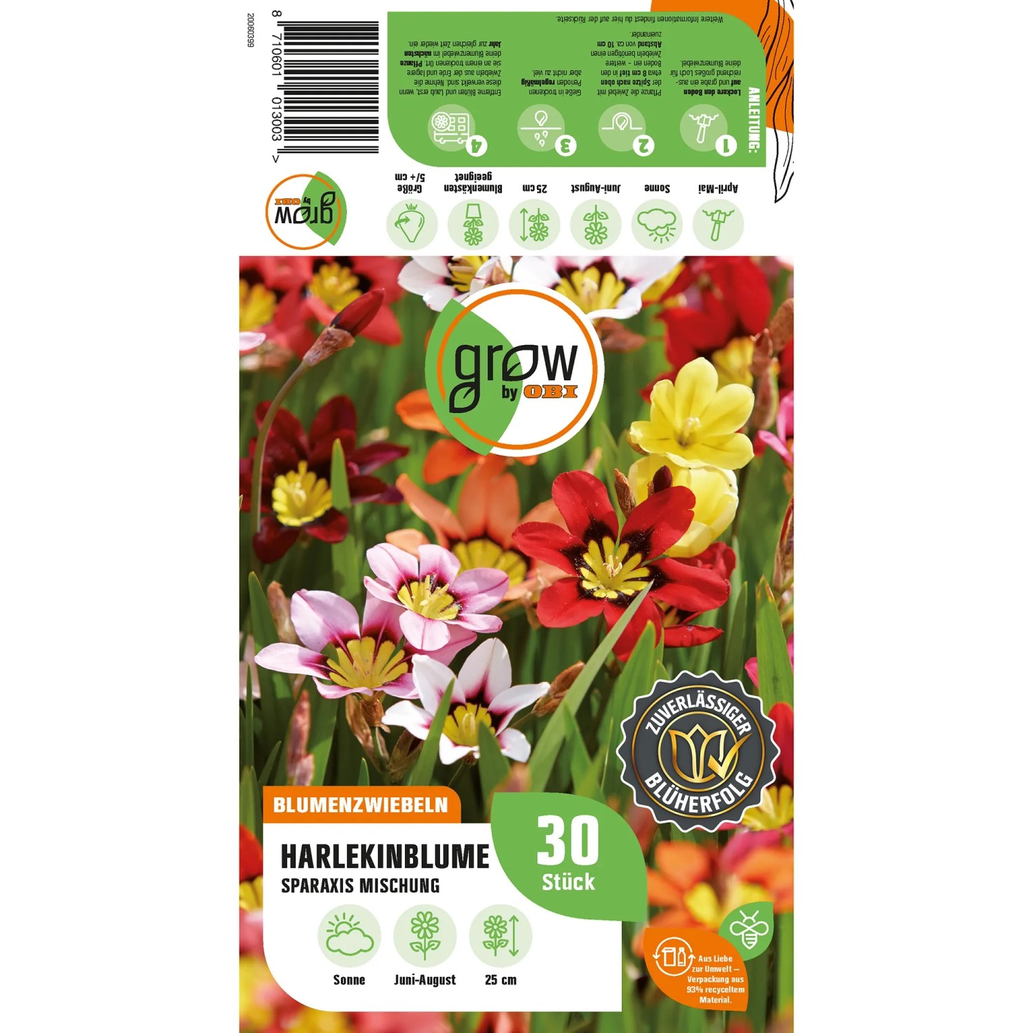 GROW by OBI Harlekinblume Tricolor-Mischung, Sparaxis, Blumenzwiebeln mit bunten Blüten in Gelb, Rot und Lila.