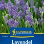 Kiepenkerl Lavendel Echter Speik Samen mit lila Blüten.