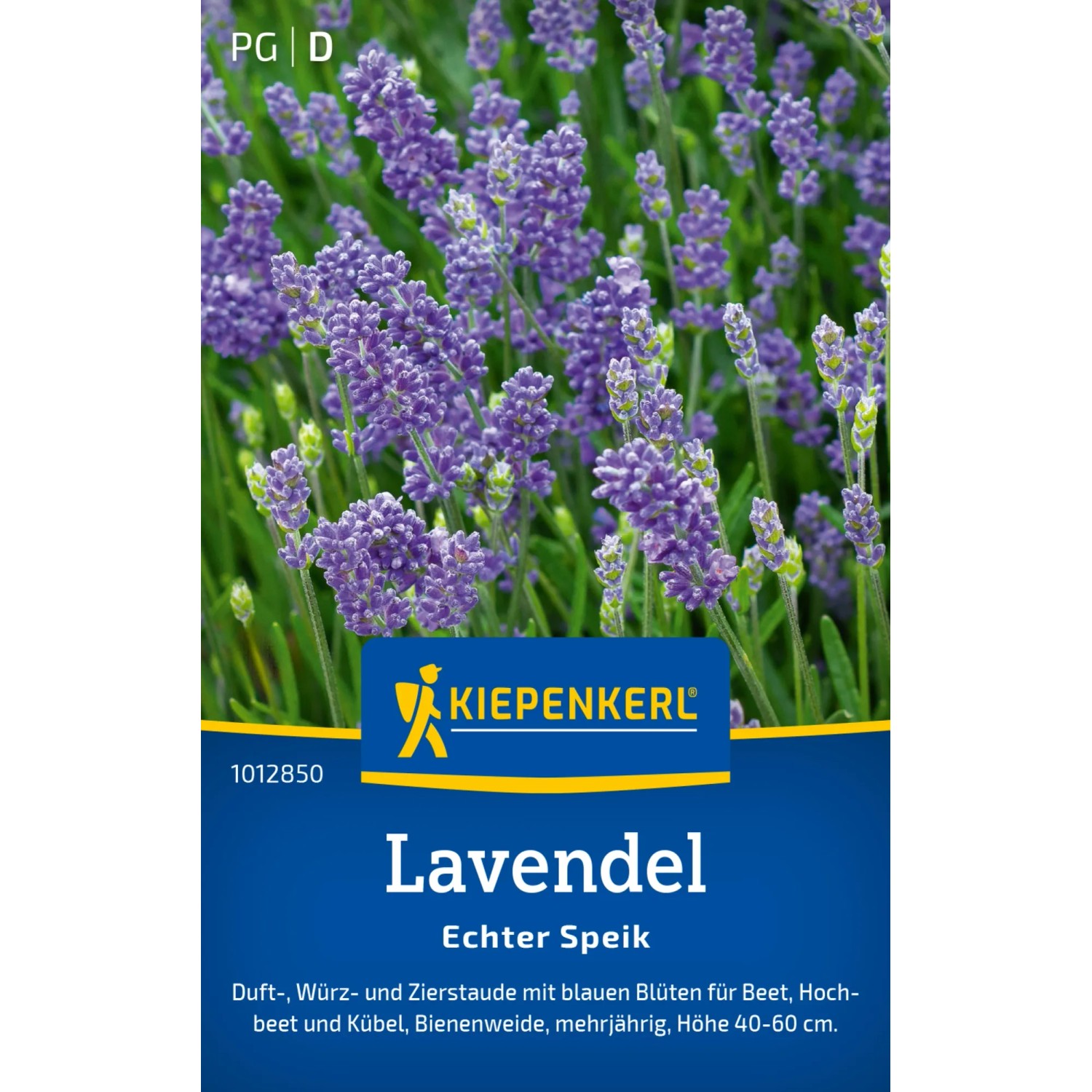 Kiepenkerl Lavendel Echter Speik Samen mit lila Blüten.