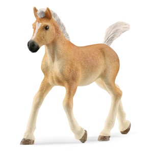 Schleich Haflinger Fohlen Spielfigur mit cremefarbenem Fell und weißer Mähne.