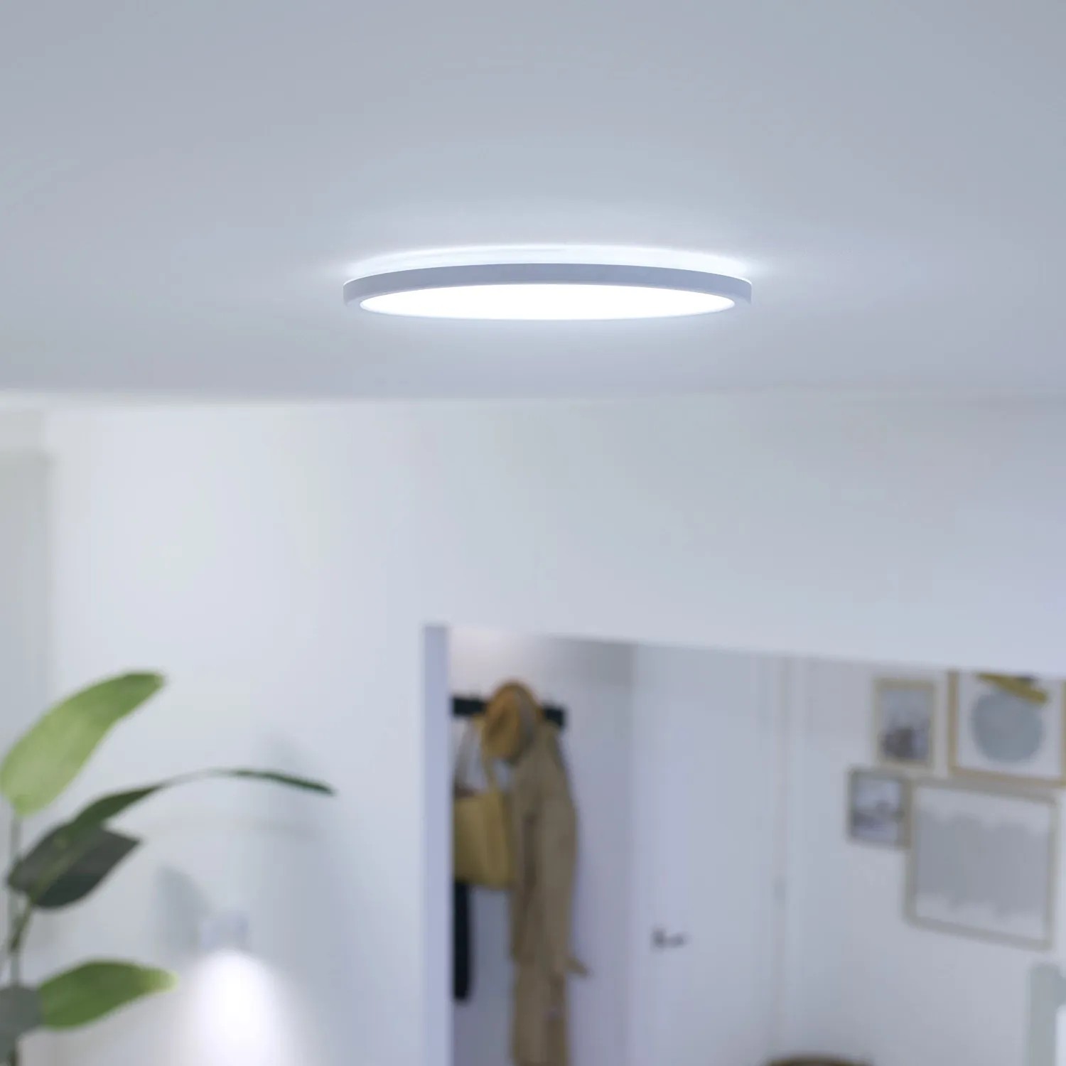 Weiße, smarte WiZ LED-Deckenleuchte SuperSlim (Ø 24,2 cm) an Zimmerdecke.