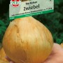Sperli Zwiebel 'The Kelsae': Riesenzwiebel in der Hand, Gemüsesamen für mild-würzige Zwiebeln.