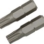 2er Set LUX Standard Bit Classic TX30 für Schraubarbeiten.