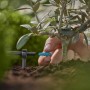 Gardena Endtropfer 2l/h im Einsatz zur Bewässerung einer Topfpflanze im Micro-Drip-System.
