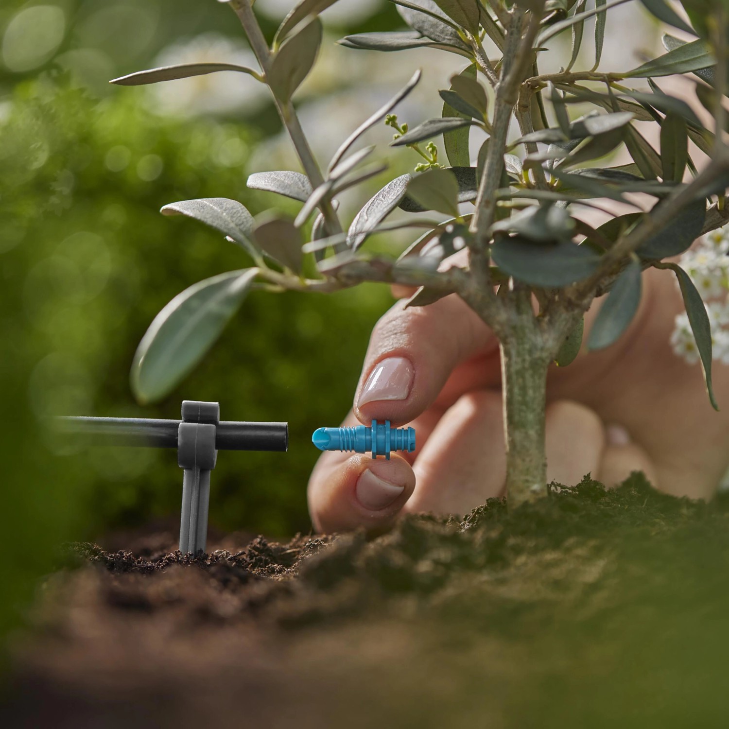 Gardena Endtropfer 2l/h im Einsatz zur Bewässerung einer Topfpflanze im Micro-Drip-System.