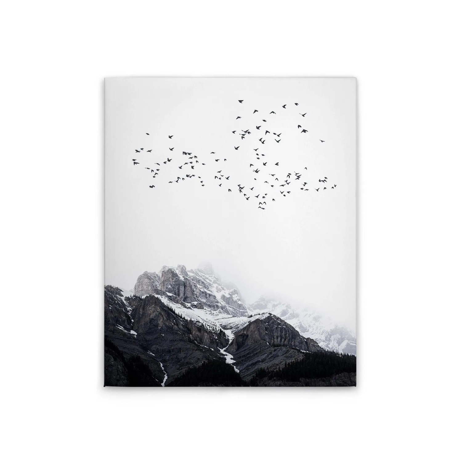Tadessi Leinwandbild - M1-No.50685 - Winterberge mit Vögeln - 40 x 50 cm - Querformat