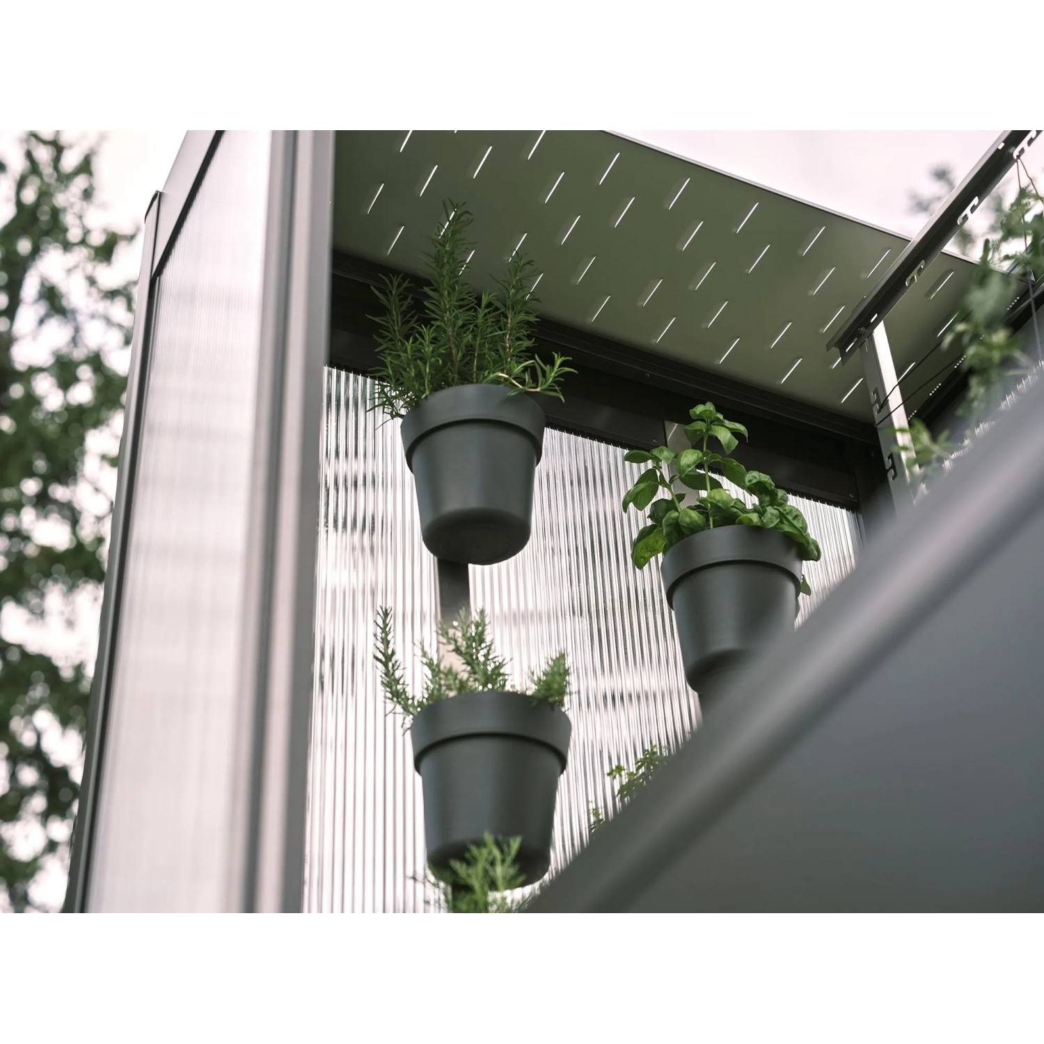 Biohort Pflanzentopf-Set für Gewächshaus Florentina, 3 graue Töpfe mit Kräutern.