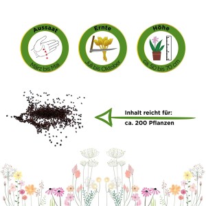 Illustration: Oregano Samen, Aussaat, Erntezeit, Pflanzenhöhe und Ergiebigkeit für ca. 200 Pflanzen.