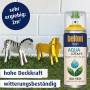 Belton Free AQUAcolours Buntlack RAL 1021 Rapsgelb hochglänzend, mit Deko-Zebra und Löwe.