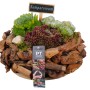 Hauswurz-Trio in Holzschale (Ø 24cm): Immergrüne Sempervivum-Pflanzen für den Außenbereich.