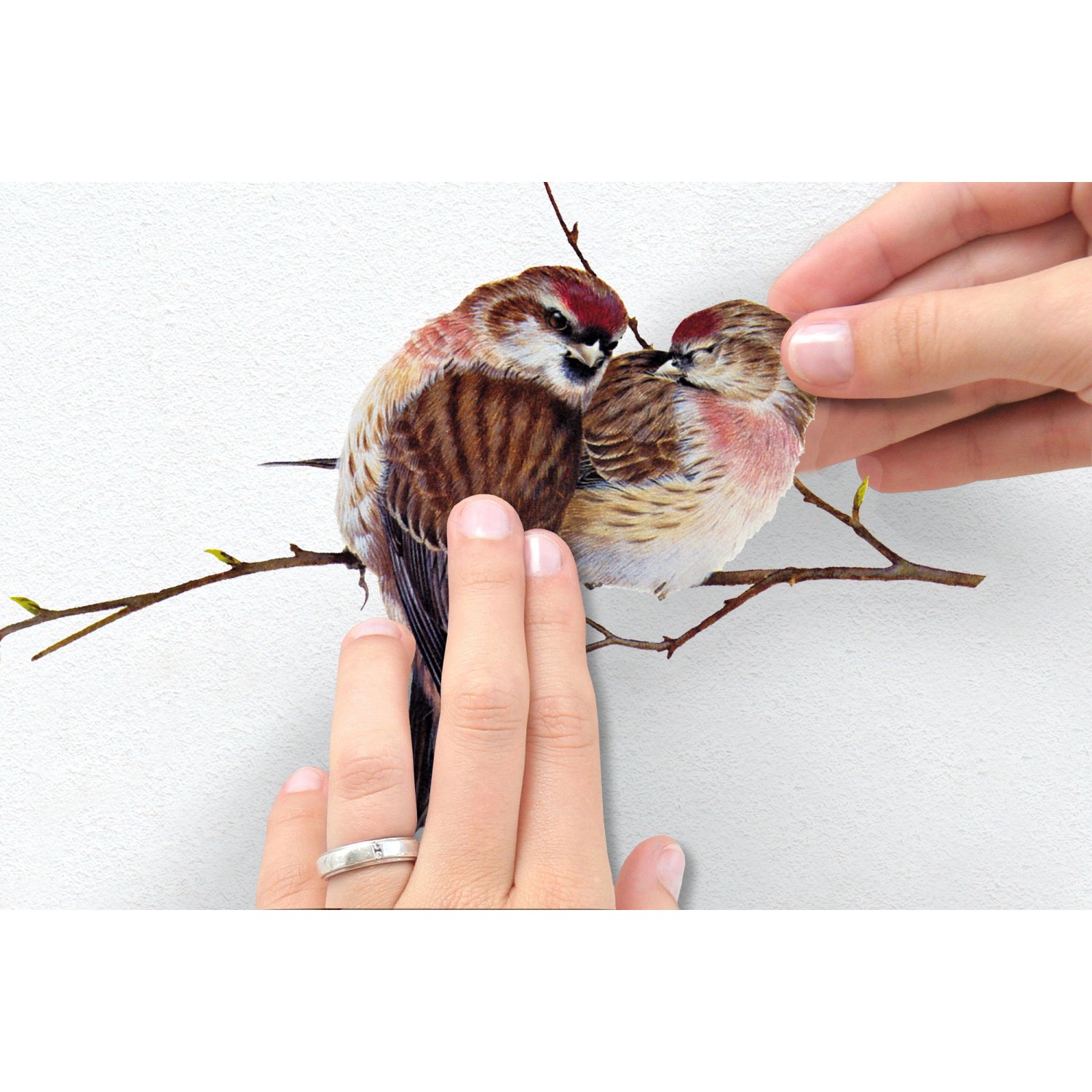 Komar Wandsticker Vogerl: Zwei Vögel auf einem Ast werden an die Wand geklebt.