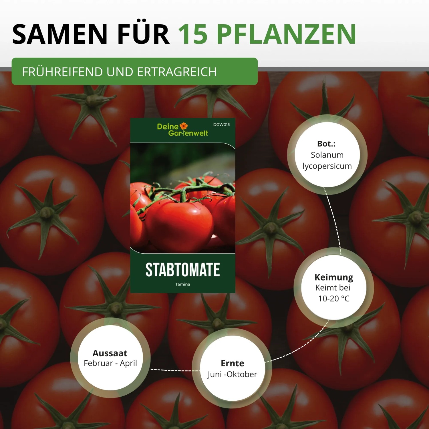 Grünes Samenpaket "Stabtomaten Tamina" von Deine Gartenwelt, umgeben von reifen roten Tomaten. Infos zu Aussaat, Ertrag und Ernte.
