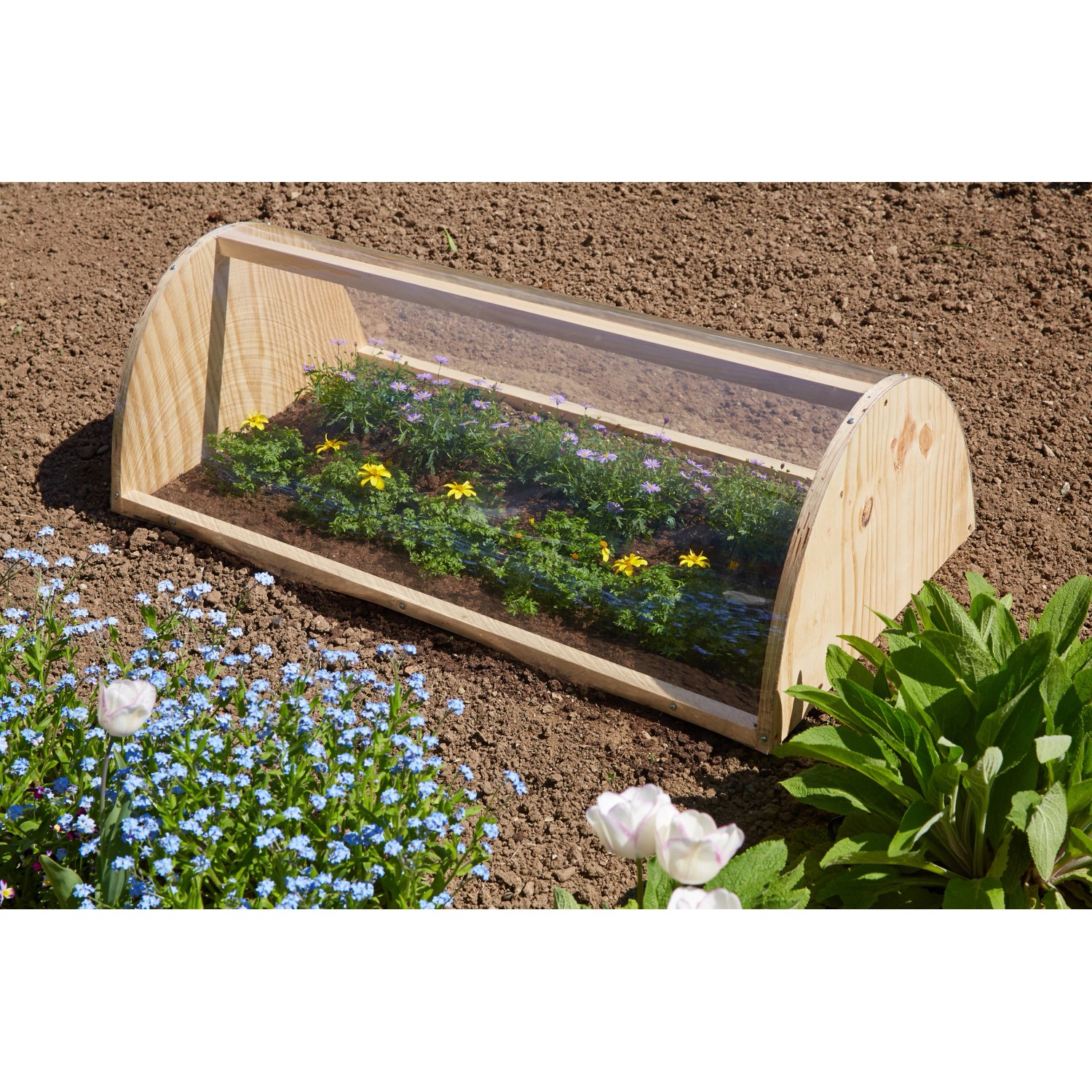 Transparente Verglasungsfolie primus auf Frühbeet mit Blumen im Garten.