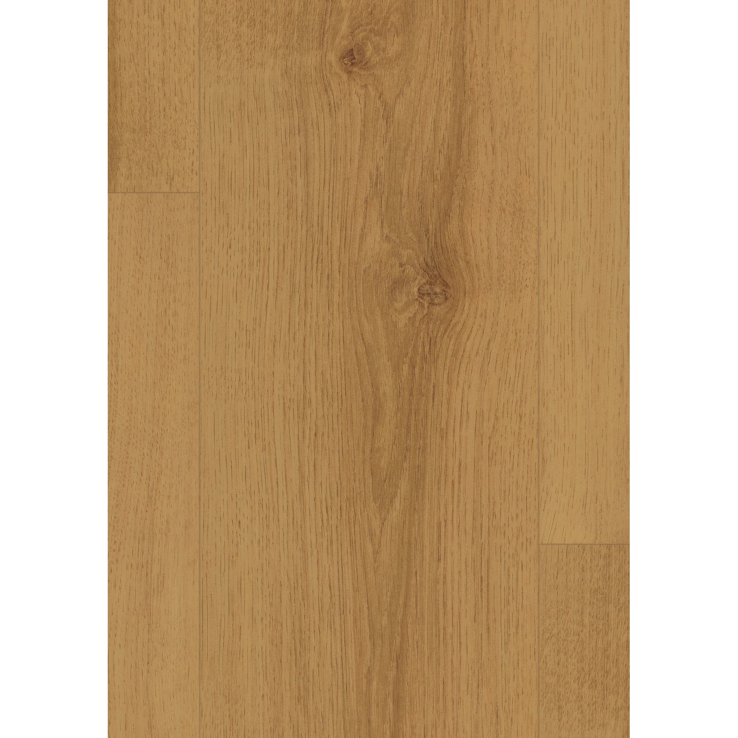 Egger Hybridboden Aquadura EDF103 Meran Eiche, Detailansicht der Holzoptik.