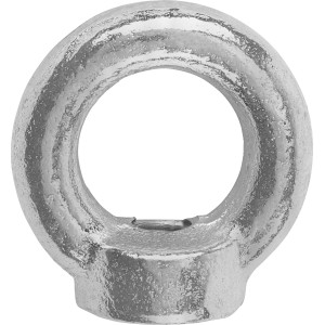 Hutmutter Verzinkt M10 2 Stück