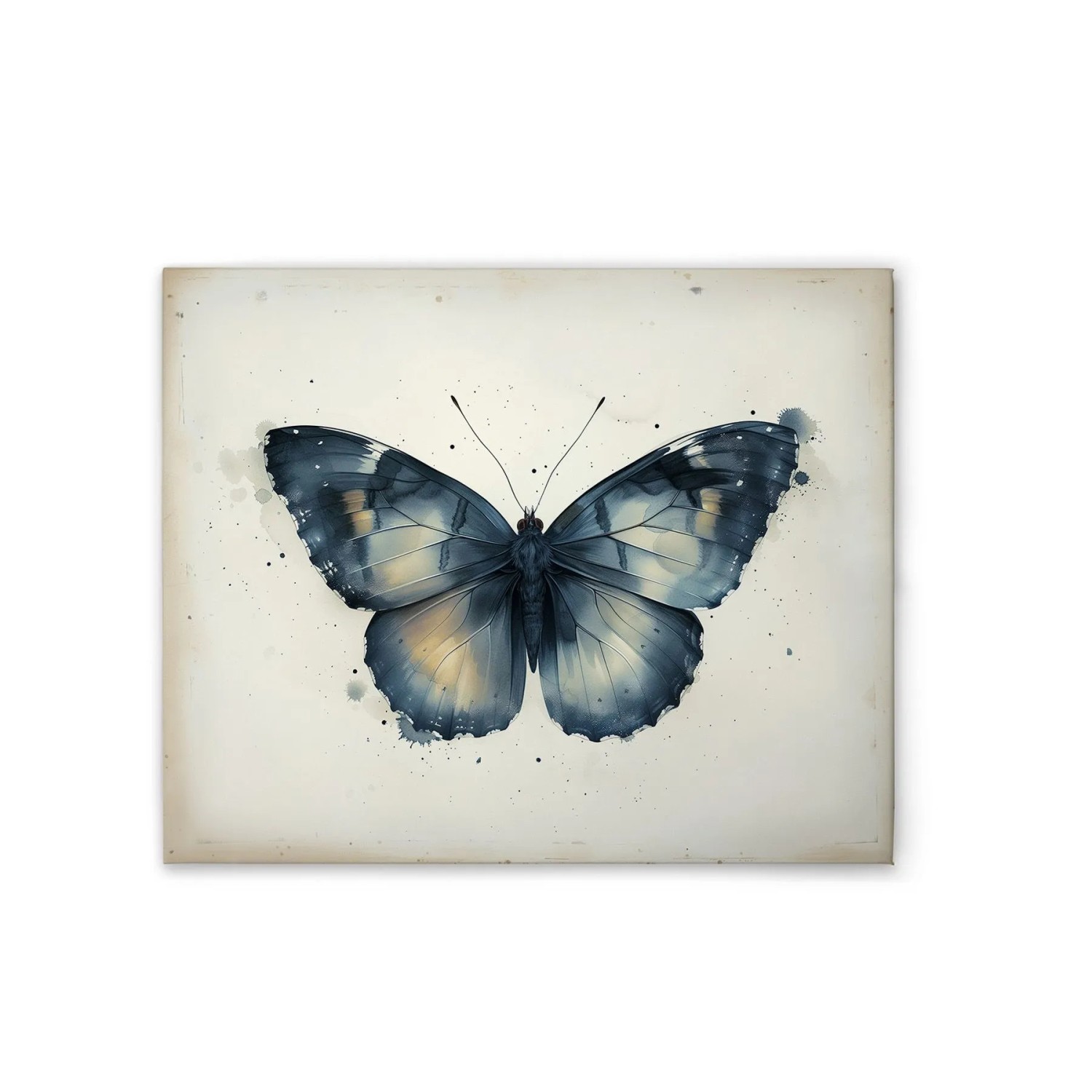 Tadessi Leinwandbild - M1-No.51789 - Schmetterling Vintage Blau - 50 x 40 cm - Hochformat