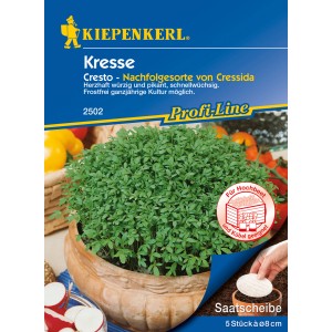 Kiepenkerl Kresse Cresto Saatscheibe im Topf, frische Kräuter für Küche und Garten.