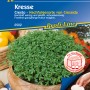 Kiepenkerl Kresse Cresto Saatscheibe im Topf, frische Kräuter für Küche und Garten.