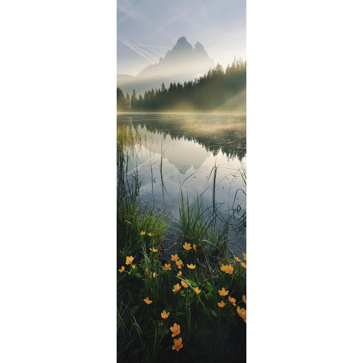 Komar Vliestapete Morning M, glatt, naturalistisch