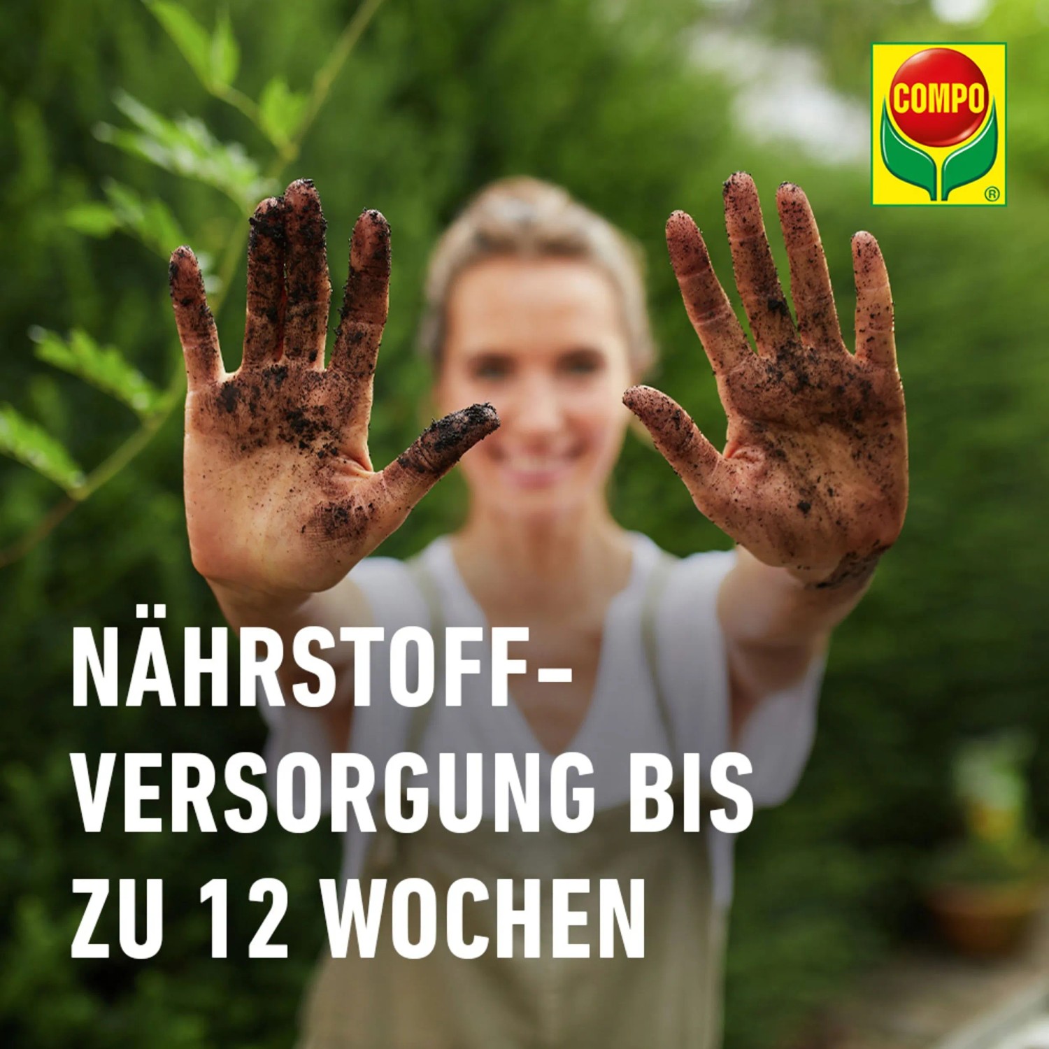 Compo Sana Balkon- und Kübelpflanzenerde 1 x 70 l_9