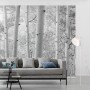 Vlies Fototapete Espenwald 450x280 cm in Schwarz-Weiß mit Baum-Motiv.