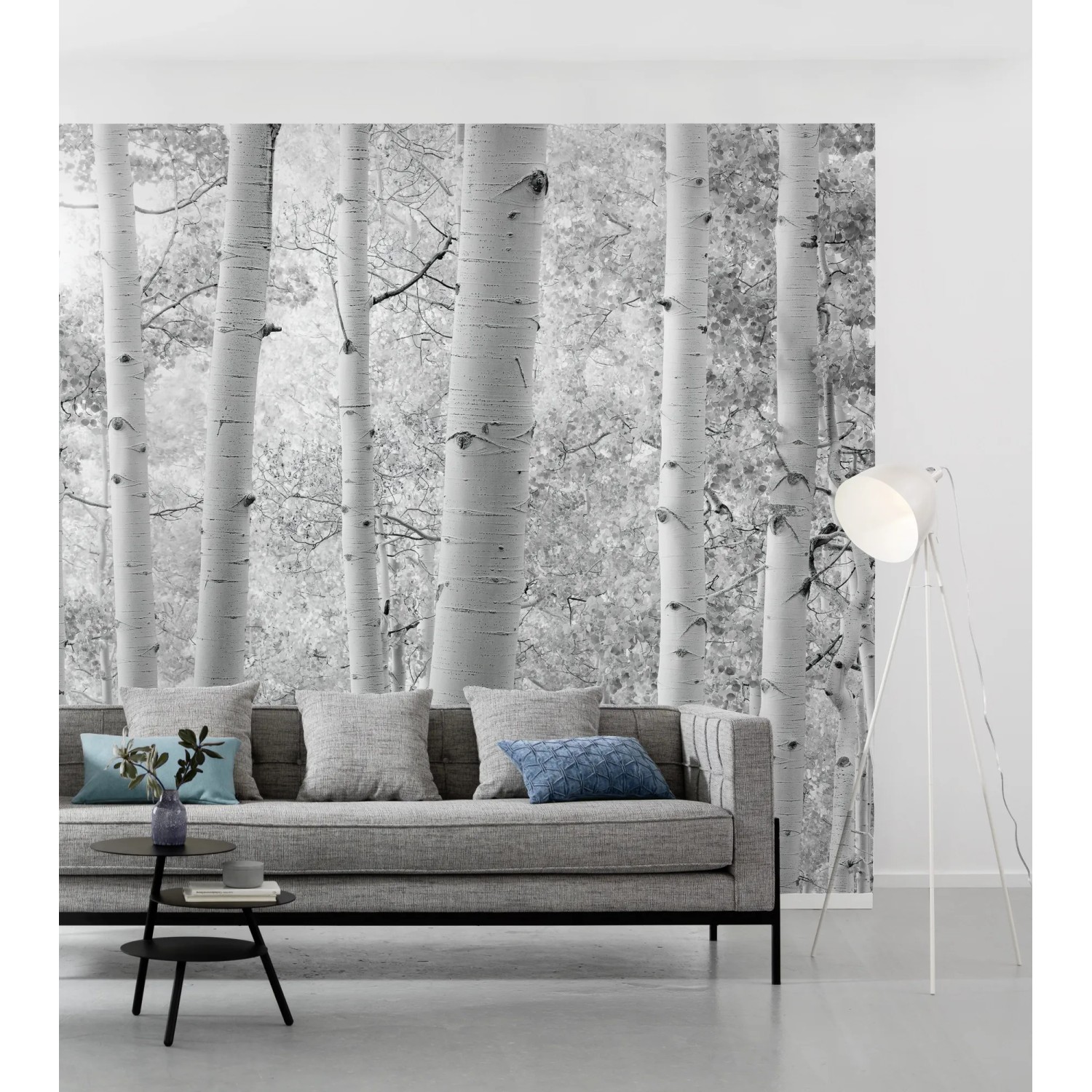 Vlies Fototapete Espenwald 450x280 cm in Schwarz-Weiß mit Baum-Motiv.