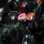 Komar Fototapete Still Life: Blumenstillleben mit Rosen, Tulpen und grünen Blättern in dunkler Umgebung.