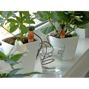 Automatisches Bewässerungssystem für Zimmerpflanzen mit Tonkegel und Wasserglas.