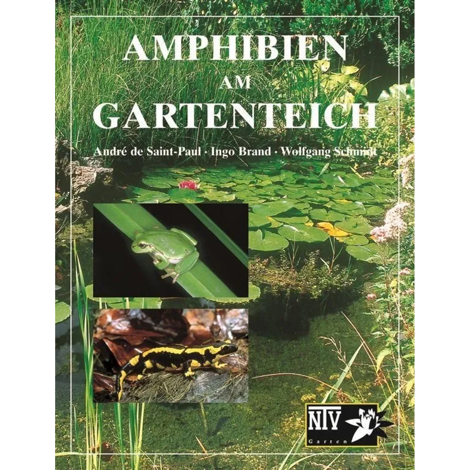 Amphibien am Gartenteich günstig online kaufen
