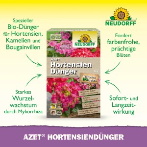 Neudorff Azet Hortensiendünger 1kg Packung mit Hortensienblüten. Bio-Dünger für prächtige Blüten.