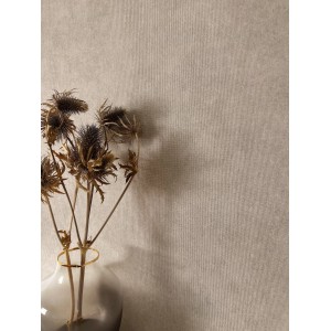 Newroom Vliestapete Zeno Helltaupe Unifarbe Modern Strukturiert FSC®