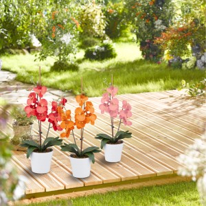 Relaxdays Pflanzenringe Kunststoff Grün 300er Set 2,5 cm 130 g